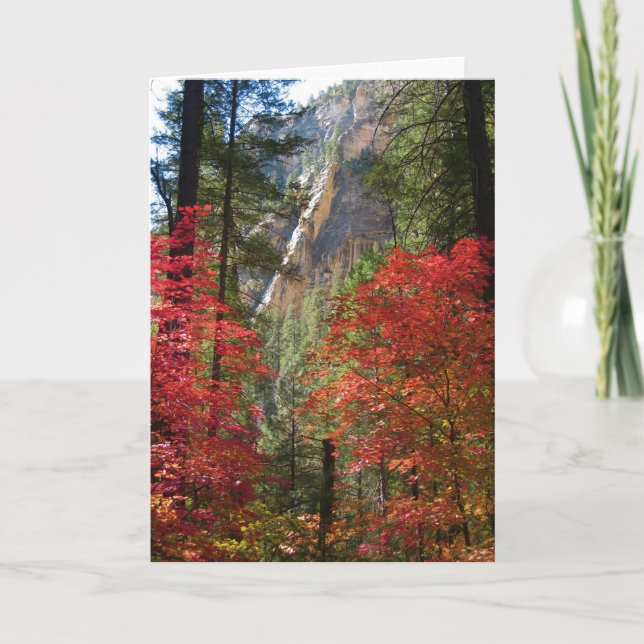 Fall Fantasy (14) Greeting Cards (Front)