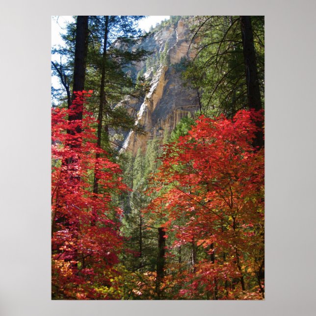 Fall Fantasy (15) Poster (Front)