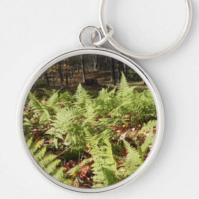 Fall Ferns Key Ring (Front)