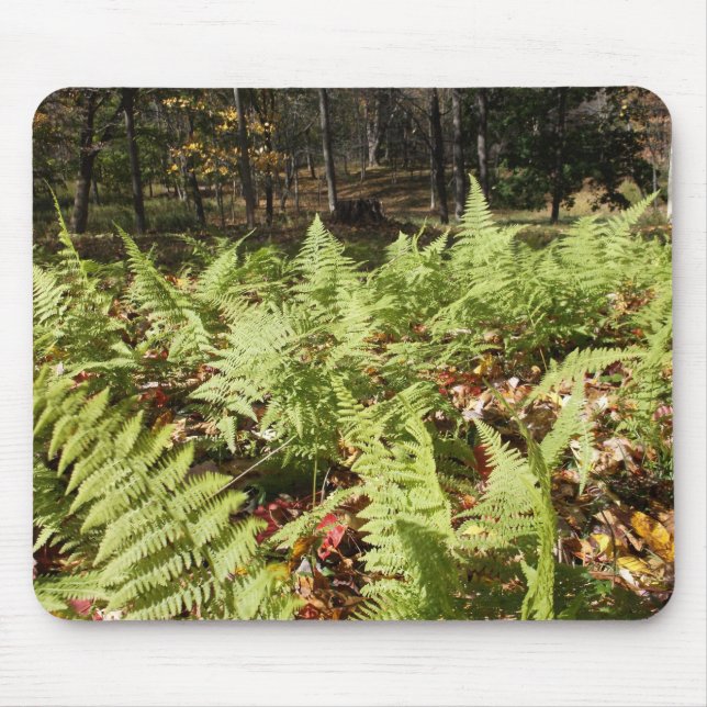 Fall Ferns Mouse Mat (Front)