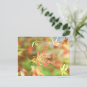 Fall Filigree Postcard