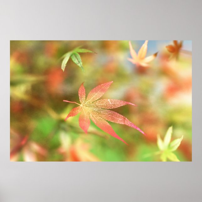 Fall Filigree Print (Front)