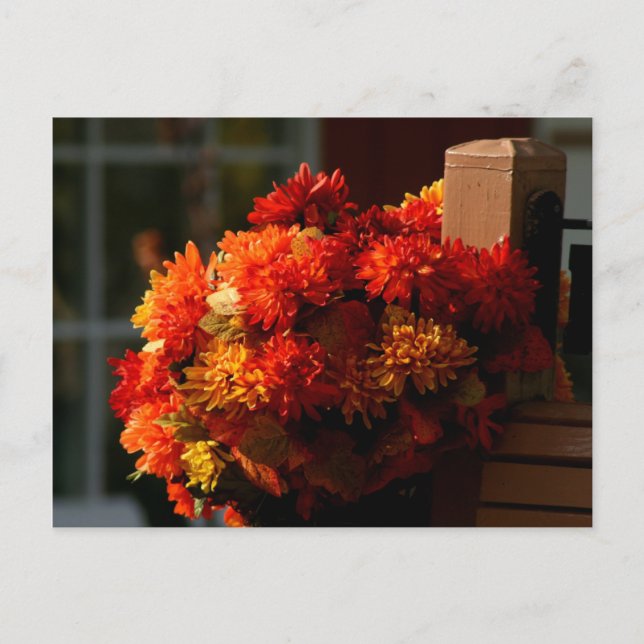 FALL FLOWERS POSTCARDS (Front)