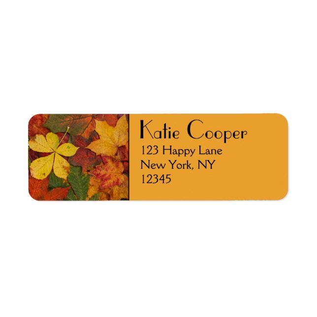 Fall Foliage (Front)