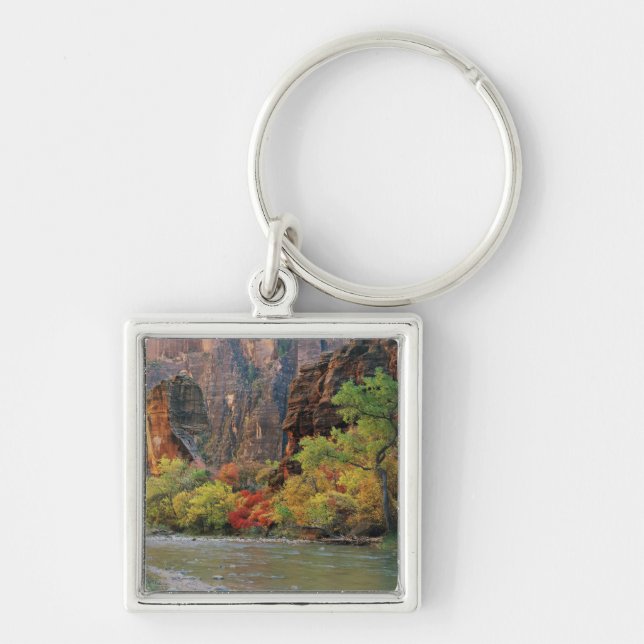 Fall foliage along Virgin River near gateway to Key Ring (Front)