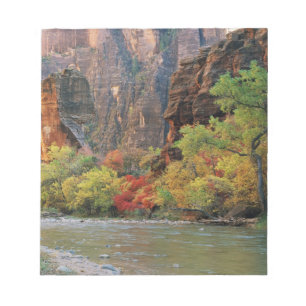 Fall foliage along Virgin River near gateway to Notepad
