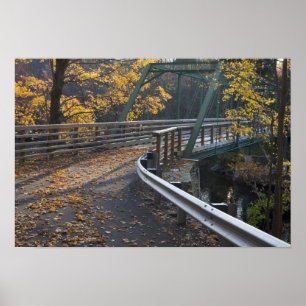 Fall foliage and a bridge over the Millers Poster