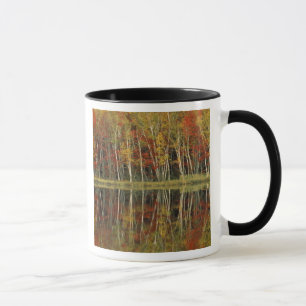 Fall Foliage and Birch Reflections; Hiawatha Mug