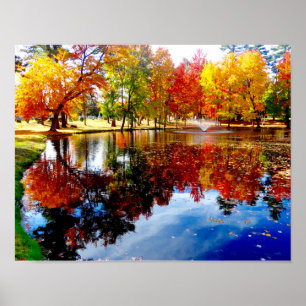 Fall foliage at the pond poster