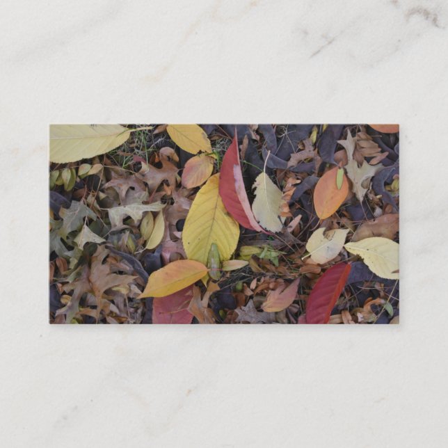 Fall Foliage Autumn Leaves Nature Tree Photography Business Card (Front)