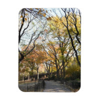 Fall Foliage Autumn Leaves Nature Tree Photography