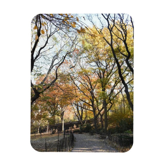 Fall Foliage Autumn Leaves Nature Tree Photography Magnet (Vertical)