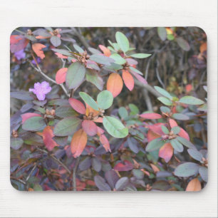Fall Foliage Autumn Leaves Nature Tree Photography Mouse Mat