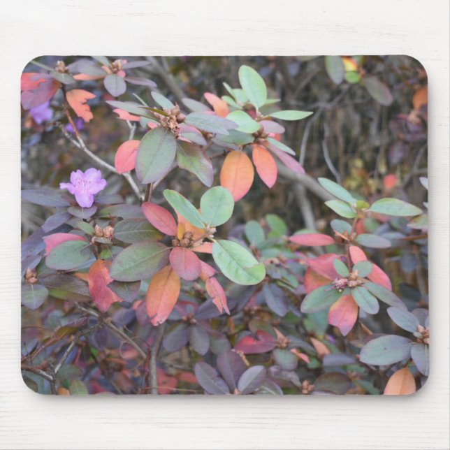 Fall Foliage Autumn Leaves Nature Tree Photography Mouse Mat (Front)