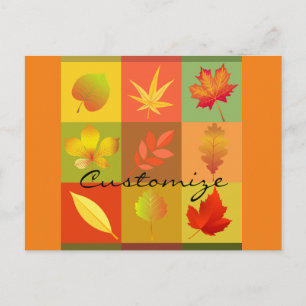 Fall Foliage Autumn Leaves Thunder_Cove Postcard