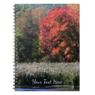 Fall Foliage Bordering A Marsh Nature Notebook