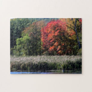 Fall Foliage Bordering A Marsh Orton Effect  Jigsaw Puzzle