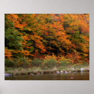Fall Foliage Bordering River Orton Poster