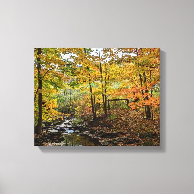 Fall Foliage Canvas Print (Front)