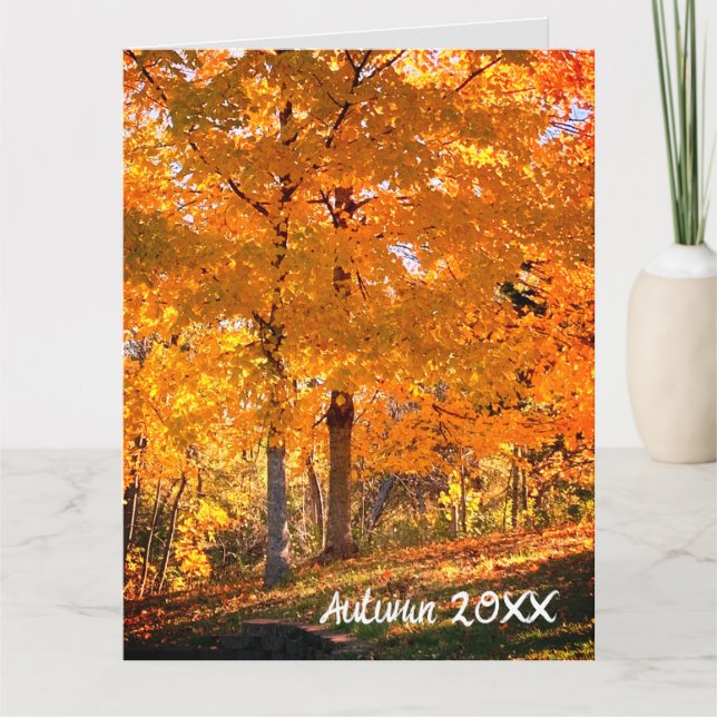 Fall Foliage  Card (Front)