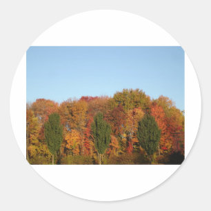 Fall Foliage Classic Round Sticker