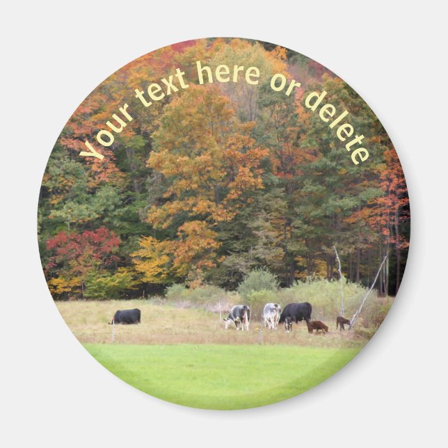 Fall Foliage Cows Field Nature Personalised Magnet (Front)