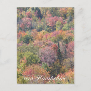 Fall Foliage, Franconia Notch State Park, NH Postcard