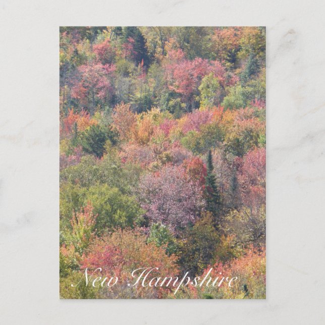 Fall Foliage, Franconia Notch State Park, NH Postcard (Front)