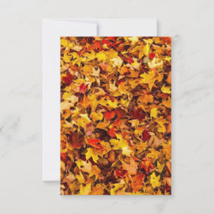 Fall Foliage Greeting Card