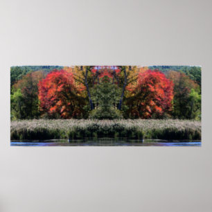 Fall Foliage In A Marsh Orton Mirror Abstract Poster