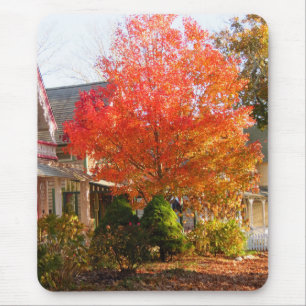 Fall Foliage in Oak Bluffs - Martha's Vineyard Mouse Mat