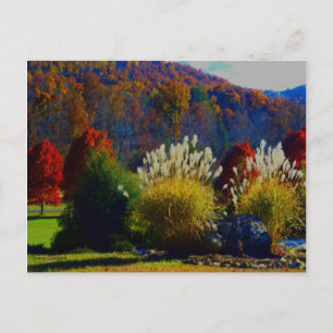 Fall Foliage in the Mountains Postcard