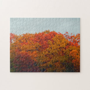 Fall Foliage Jigsaw Puzzle