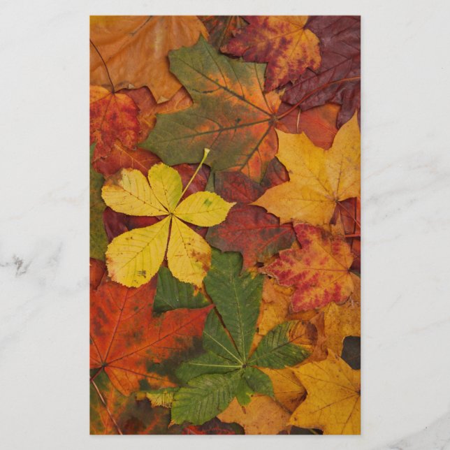 Fall Foliage Leaves in Neutral Colours Stationery (Front)