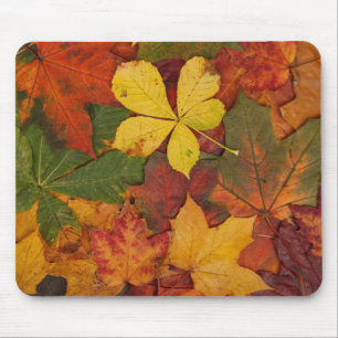 Fall Foliage Mouse Mat