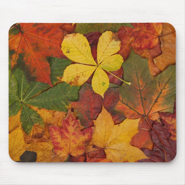 Fall Foliage Mouse Mat (Front)