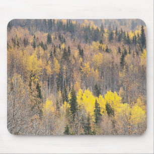 Fall Foliage Nature Scene with Warm Tones Mouse Mat