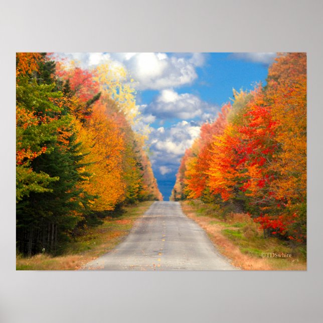 Fall Foliage New England Poster (Front)