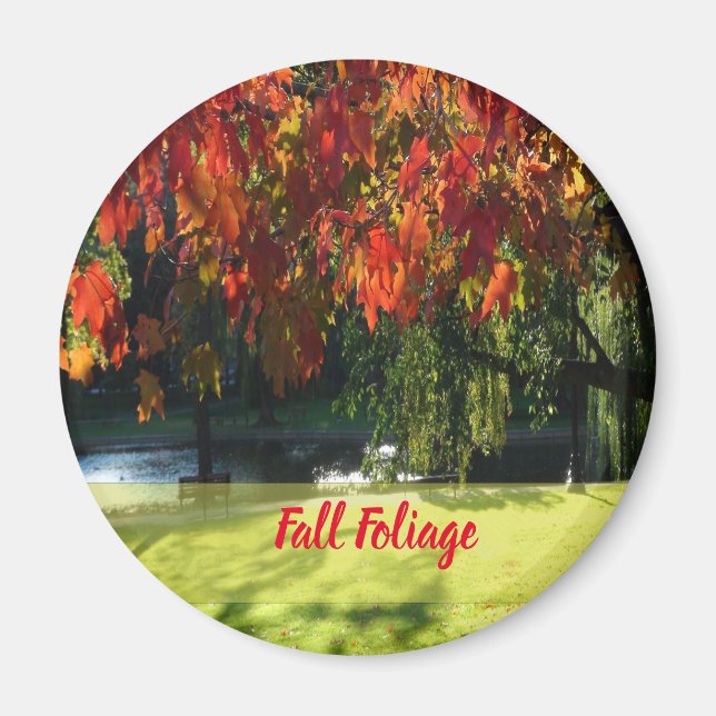 Fall Foliage of Boston Magnet (Front)