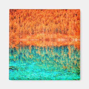 Fall foliage orange blue green autumn tree water magnet
