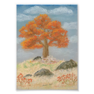 Fall Foliage Photo Print