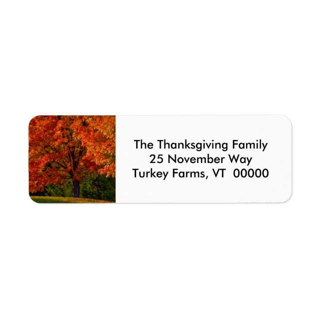 Fall Foliage Photo Return Address Labels Sticker (Front)