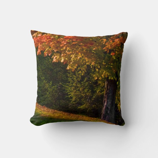 Fall Foliage Pillow Scenes | Accent Pillow 3 Of 3 (Front)