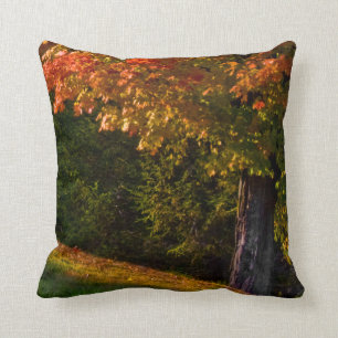 Fall Foliage Pillow Scenes Accent Pillow 3 Of 3