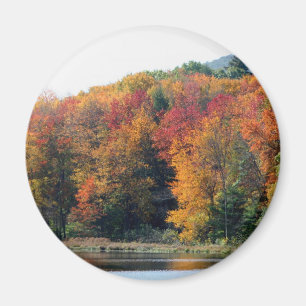 Fall Foliage Pond Nature Photography  Magnet