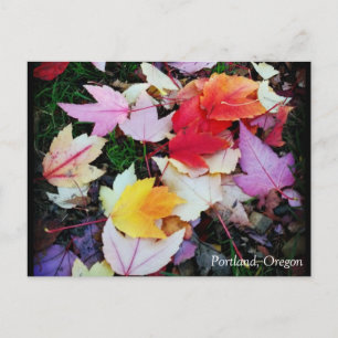 Fall Foliage Postcard