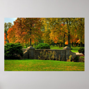 Fall Foliage Poster