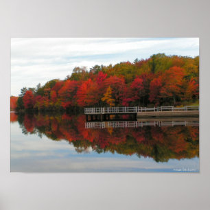 Fall Foliage Print