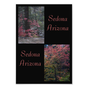 Fall foliage Sedona,Arizona Photo Print