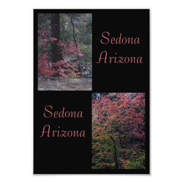Fall foliage Sedona,Arizona Photo Print (Front)